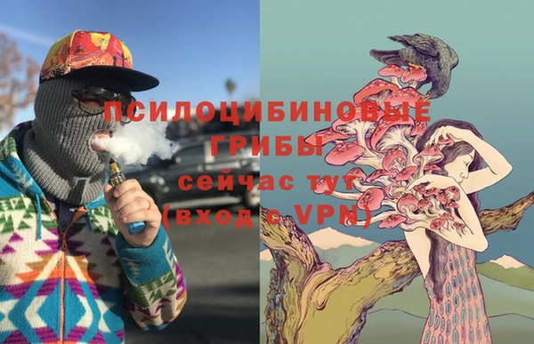 мдпв Саяногорск