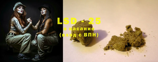 прущие грибы Абдулино