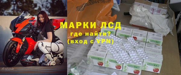 прущие грибы Абдулино