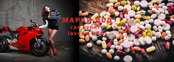 прущие грибы Абдулино